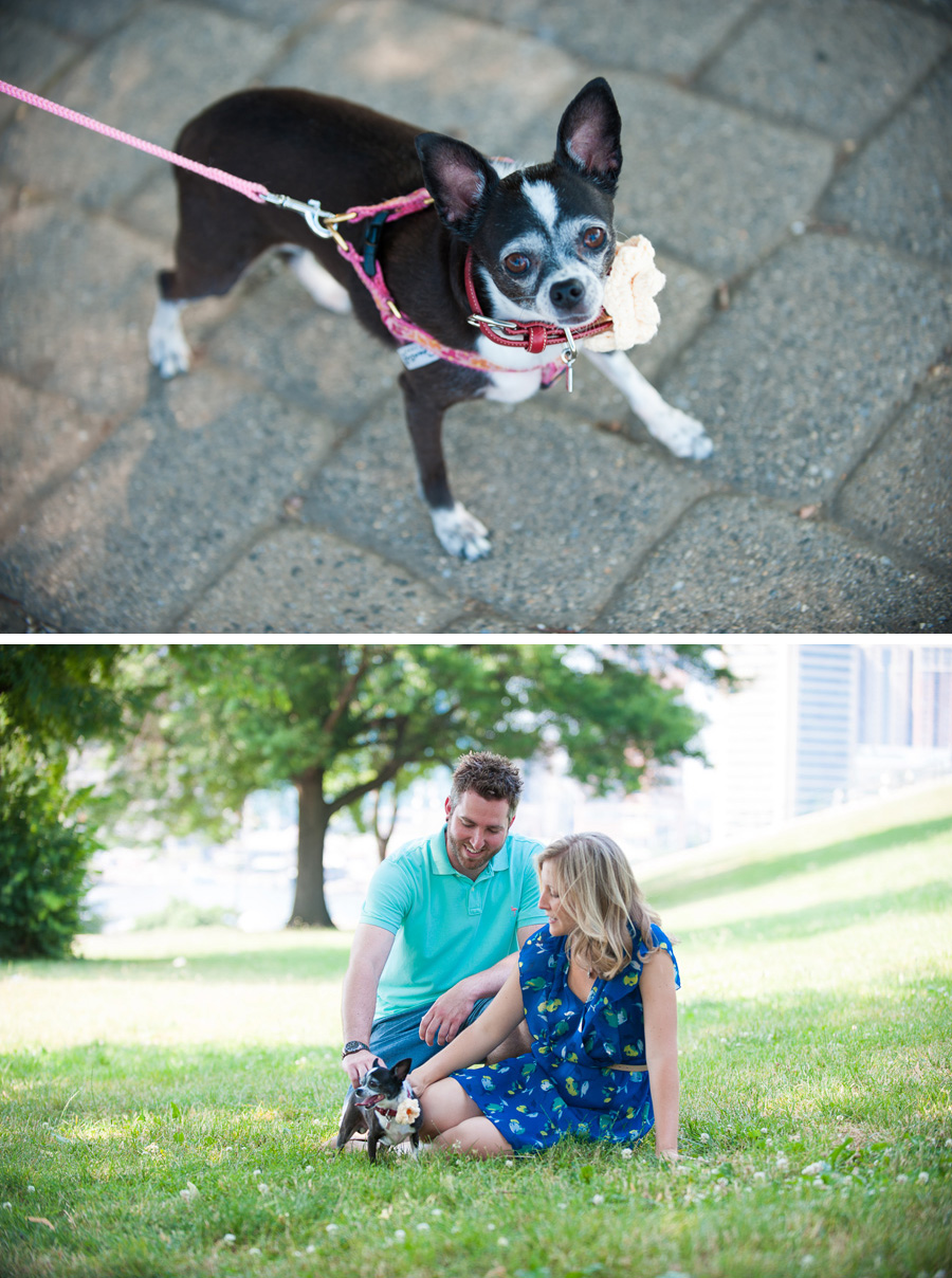 Engagement Photos with Dogs