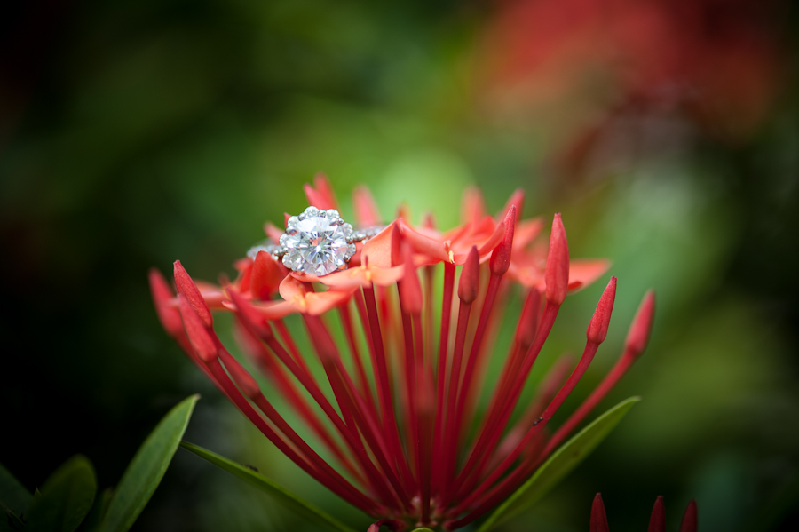 Destination Wedding in St Lucia Sandals