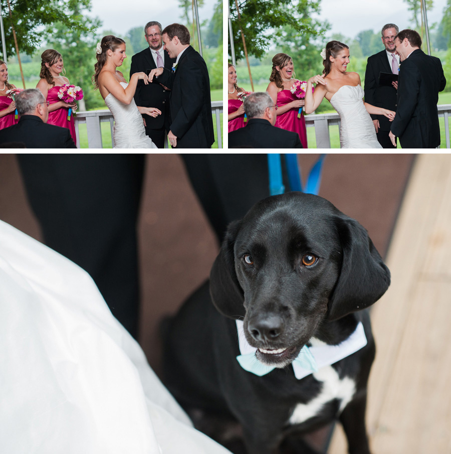 Virginia Wedding Photographer