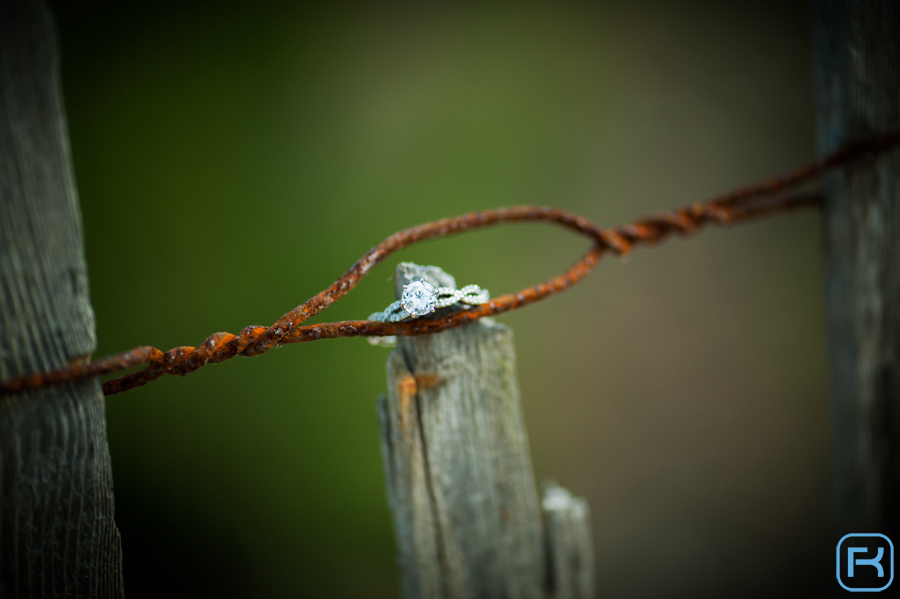 Wedding Ring Detail