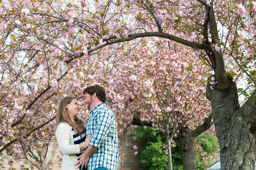Engagement DC Cherry Blossoms Photos