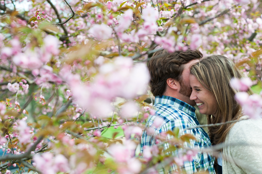 Engagement DC Cherry Blossoms Photography
