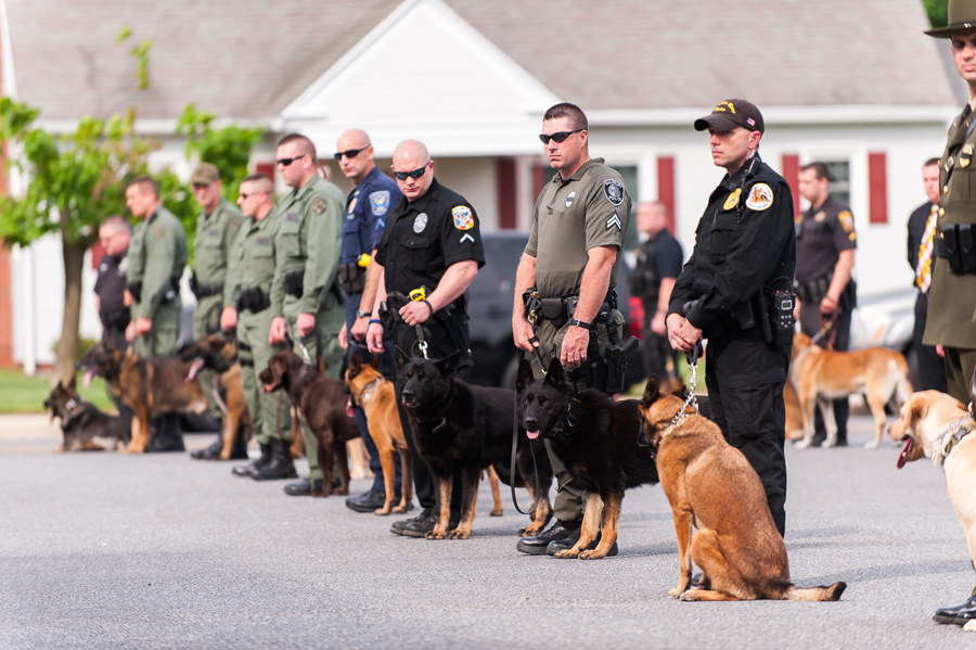 Worcester County Sheriff's Office K9 LODD