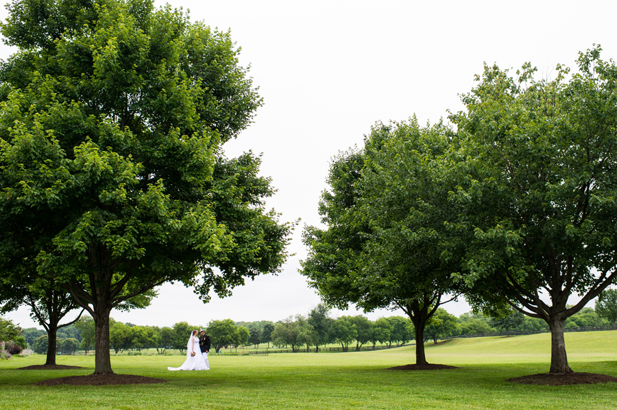 Winery Wedding Photos