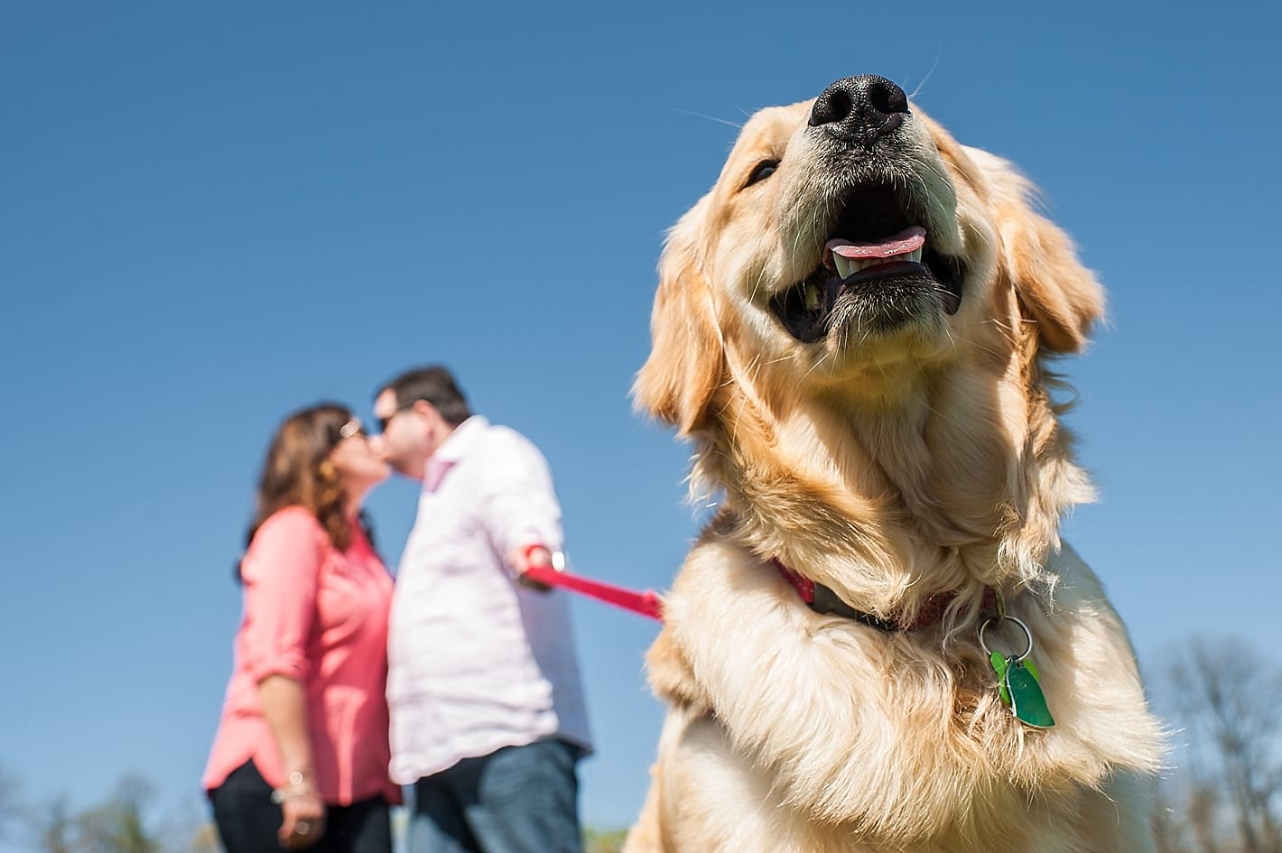 Dog Park Engagement Photos