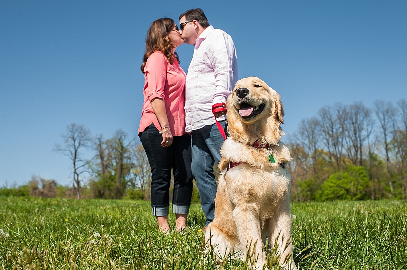 Dog Park Engagement Photos