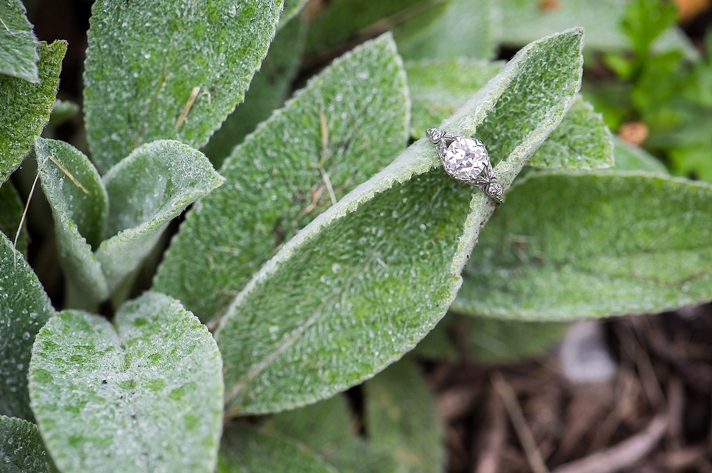 Wedding Ring photos on pretty Flowers